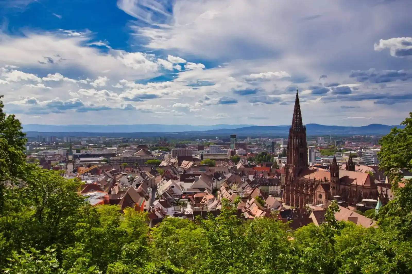 Standort Freiburg-Haid